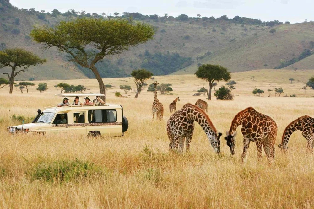 Съездить на сафари
